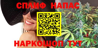 мдпв Можга