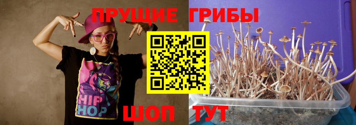 Галлюциногенные грибы Magic Shrooms  Вход с VPN  Пыть-Ях 